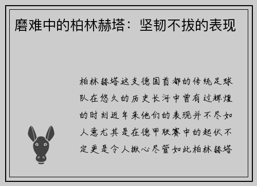 磨难中的柏林赫塔：坚韧不拔的表现