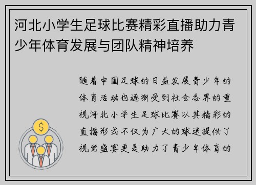 河北小学生足球比赛精彩直播助力青少年体育发展与团队精神培养